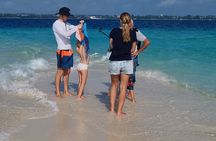 Zanzibar Unveiled: Spice Farm, Prison Island and Stone Town Tour