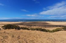 Essaouira: Quad tours (free transfer)