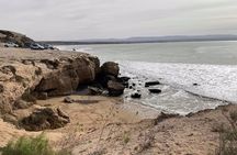 Essaouira: Quad tours (free transfer)