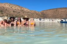 Most Popular Tour in La Paz Isla Espíritu Santo and Sea Lions