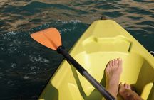 Al Thakira Mangrove Kayaking Adventure With Transfer