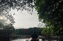 Al Thakira Mangrove Kayaking Adventure With Transfer