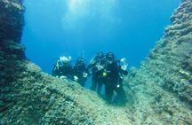 Beginner Scuba Diving and Explore the Underwater World