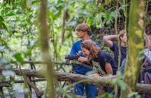 3 in 1 Combo: La Fortuna Waterfall, Hanging Bridges, Thermal Spa from San José
