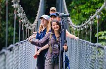 3 in 1 Combo: La Fortuna Waterfall, Hanging Bridges, Thermal Spa from San José