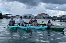 Luxury Kayak Tour To An Island Off Clearwater Beach! - (Tandem)