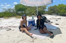 Luxury Single Kayak Tour To An Island Off Clearwater Beach!