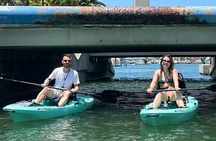Luxury Single Kayak Tour To An Island Off Clearwater Beach!