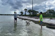 Luxury Single Kayak Tour To An Island Off Clearwater Beach!