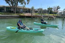 Luxury Single Kayak Tour To An Island Off Clearwater Beach!