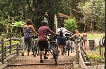 Ibirapuera Park Bike Tour 