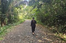 Visit the Gamboa Rainforest: Hummingbirds, Monkeys & Lunch