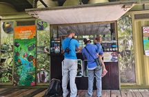 Visit the Gamboa Rainforest: Hummingbirds, Monkeys & Lunch