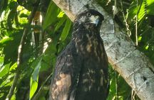 Guided Boat Expedition thru the Panama Canal + Premium Amenities