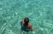 Shell Island Dolphin and Snorkel Boat Tour 