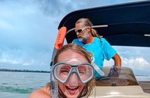 Panama City Beach Small Group Dolphin & Snorkel Tour (Max 6 )