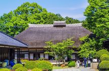 From Tokyo: Mashiko Pottery Tour by Private Car