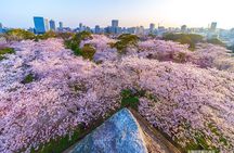 FUKUOKA Hakata Half Day Shared Tour ~Sightseeing with Coffee~