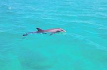 Guided Jet Ski Adventure Tour 