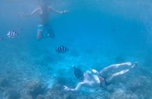 Praslin Curieuse, St Pierre &AnseLafarine fullday trip CreoleBBQ 