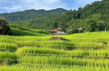 Pu Luong & Ninh Binh 3D2N:Explore Nature, Local Life &Hidden Gems