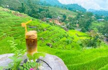 Pu Luong & Ninh Binh 3D2N:Explore Nature, Local Life &Hidden Gems