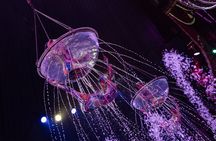 Aqua Circus Show Phuket -The Water Spectacle