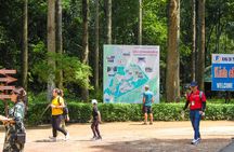 Explore Cu Chi Tunnels With Private Tour From Ho Chi Minh City 