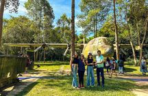 Explore Cu Chi Tunnels With Private Tour From Ho Chi Minh City 