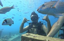 Side Underwater Museum and Scuba Diving Adventure