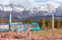 Jade Dragon Snow Mountain with Scenic Sightseeing Train Tour