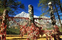 Jade Dragon Snow Mountain with Scenic Sightseeing Train Tour
