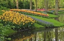 Private Tour in Van from Amsterdam to Keukenhof & Tulip Fields