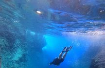 Chania Guided Snorkeling and Boat Excursion