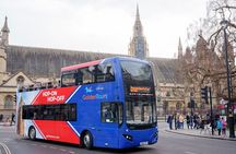 London Hop-On Hop-Off Bus Tour with Optional Cruise