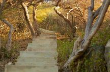 Hooiberg Hill Hike (Sunrise, Sunset, Night)