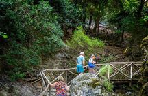 Western Rhodes Villages and Butterfly Valley Tour