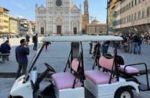 Private Pink Tour Florence Electric Golf Cart 