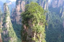 National Forest Park Avatar Mountain Day Tour