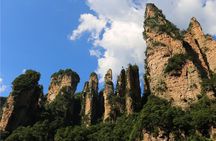 National Forest Park Avatar Mountain Day Tour