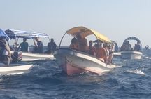 Mnemba Island Zanzibar | Snoreklling and swimming with dolphins