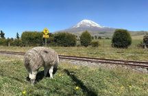 Chimborazo Volcano Tour from Quito – Closest Point to the Sun