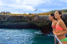 Snorkeling in Marietas Islands and BBQ in Playa Majahuitas