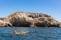 Snorkeling in Marietas Islands and BBQ in Playa Majahuitas