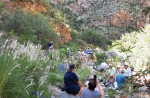 Hiking Ventana Canyon and Sabino Canyon