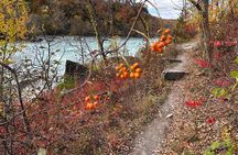 Guided Hike Along the Niagara River Gorge to Power Plant Ruins
