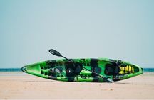  Luxury Kayak Tour To An Island Off Clearwater Beach! - (Tandem)