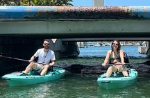  Luxury Kayak Tour To An Island Off Clearwater Beach! - (Tandem)