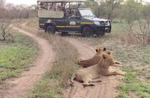 5 Day Kruger Park tours and Manyeleti Safari and Panorama Tour