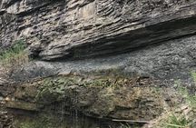 Guided Hike of Artpark, River Gorge Trails + Climbing Experience 